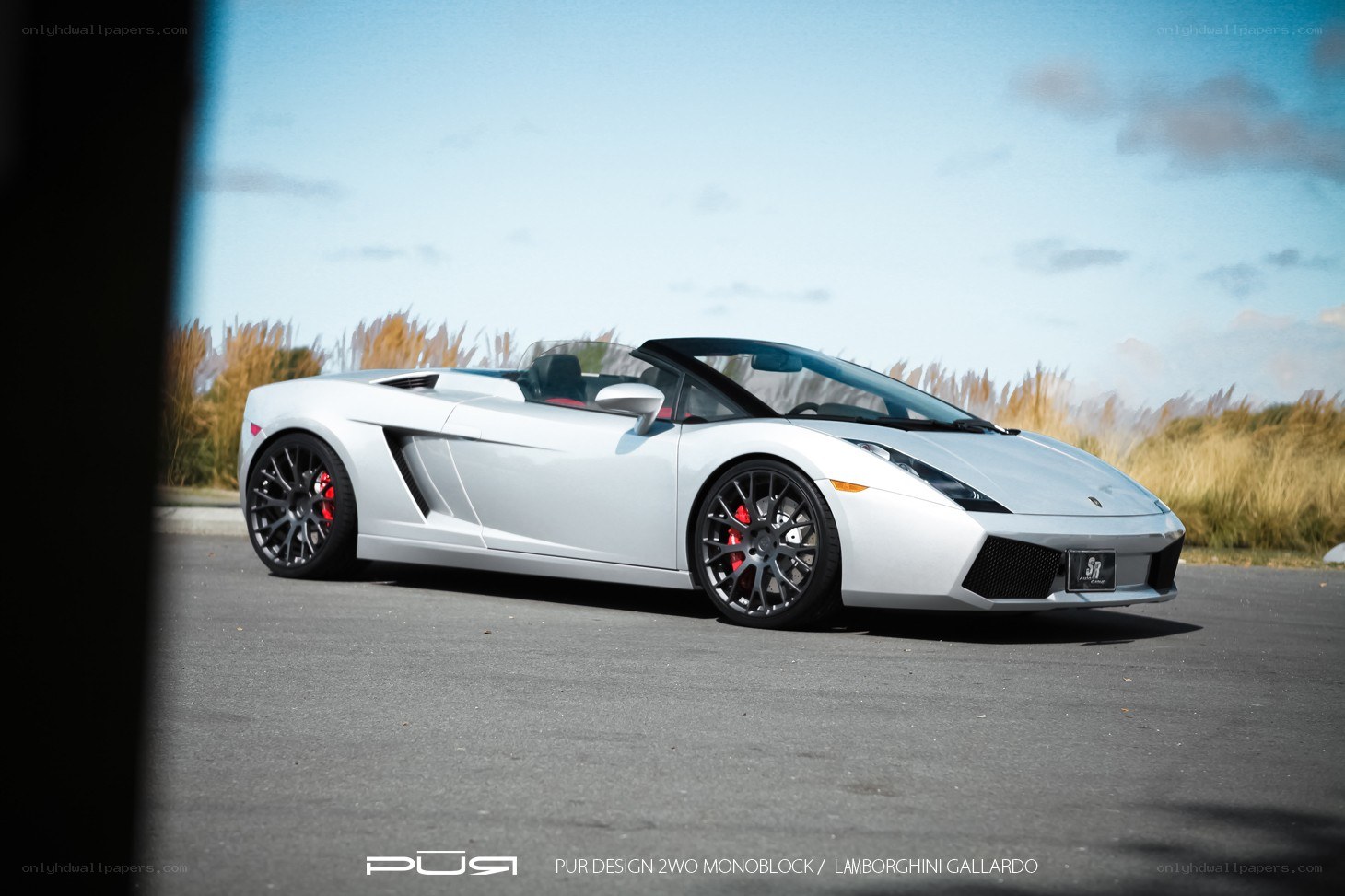 White Lamborghini Gallardo convertible