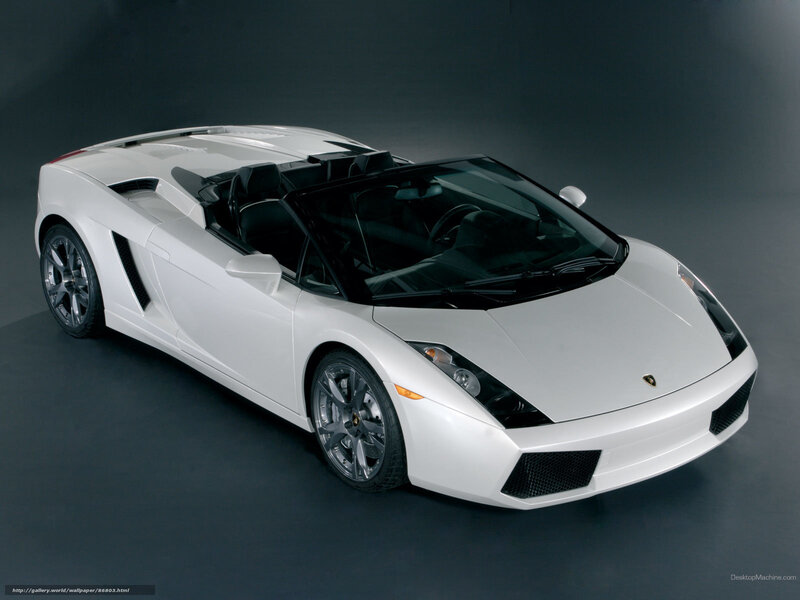 White Lamborghini Gallardo — Dramatic, Photograph, Car, Convertible