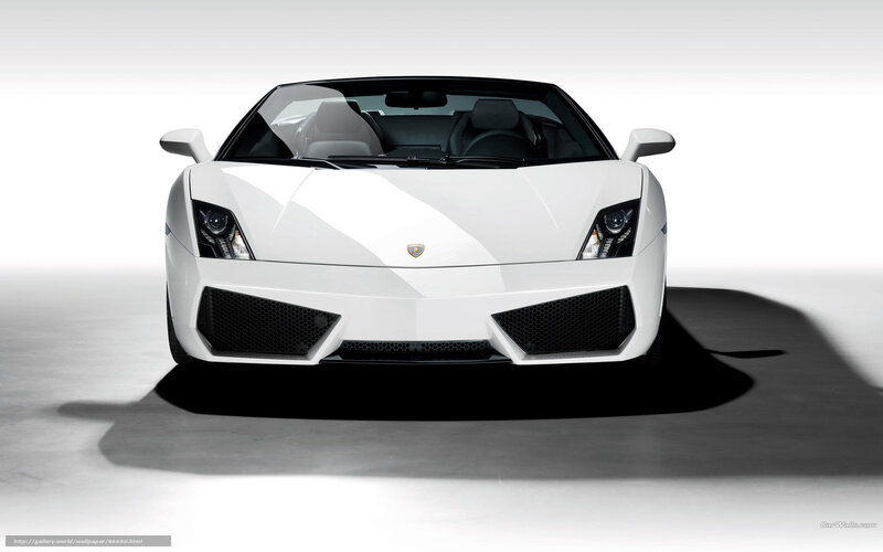 White Lamborghini Gallardo — Dramatic, Photograph