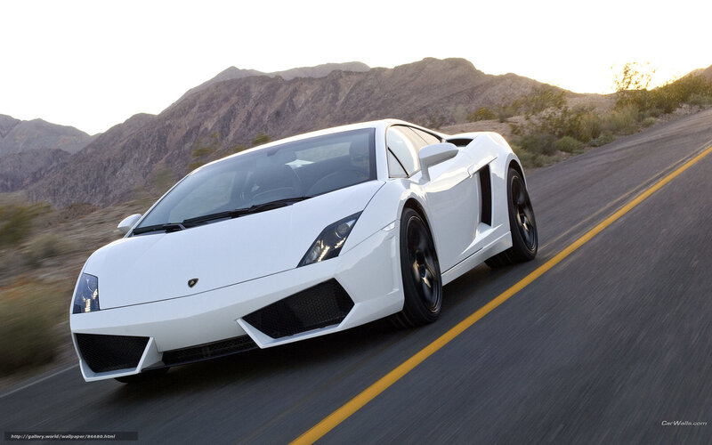 White Lamborghini Gallardo — Dynamic