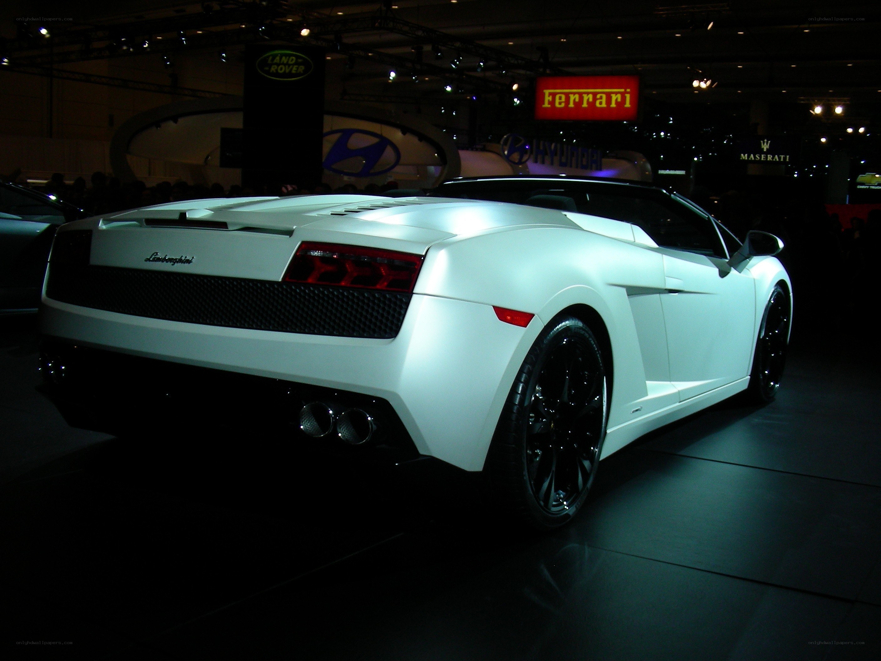 White Lamborghini Gallardo on display