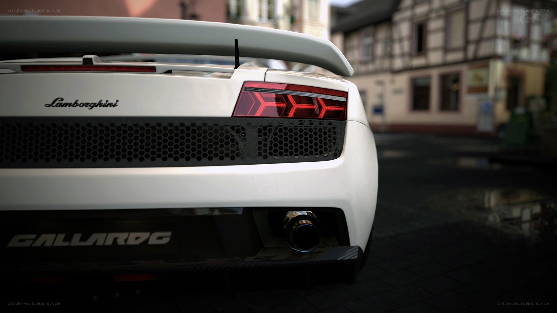 White Lamborghini Gallardo rear view