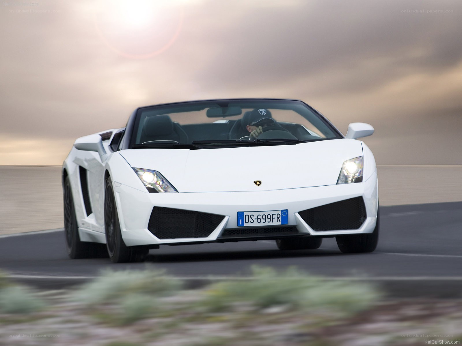 White Lamborghini Gallardo Spyder