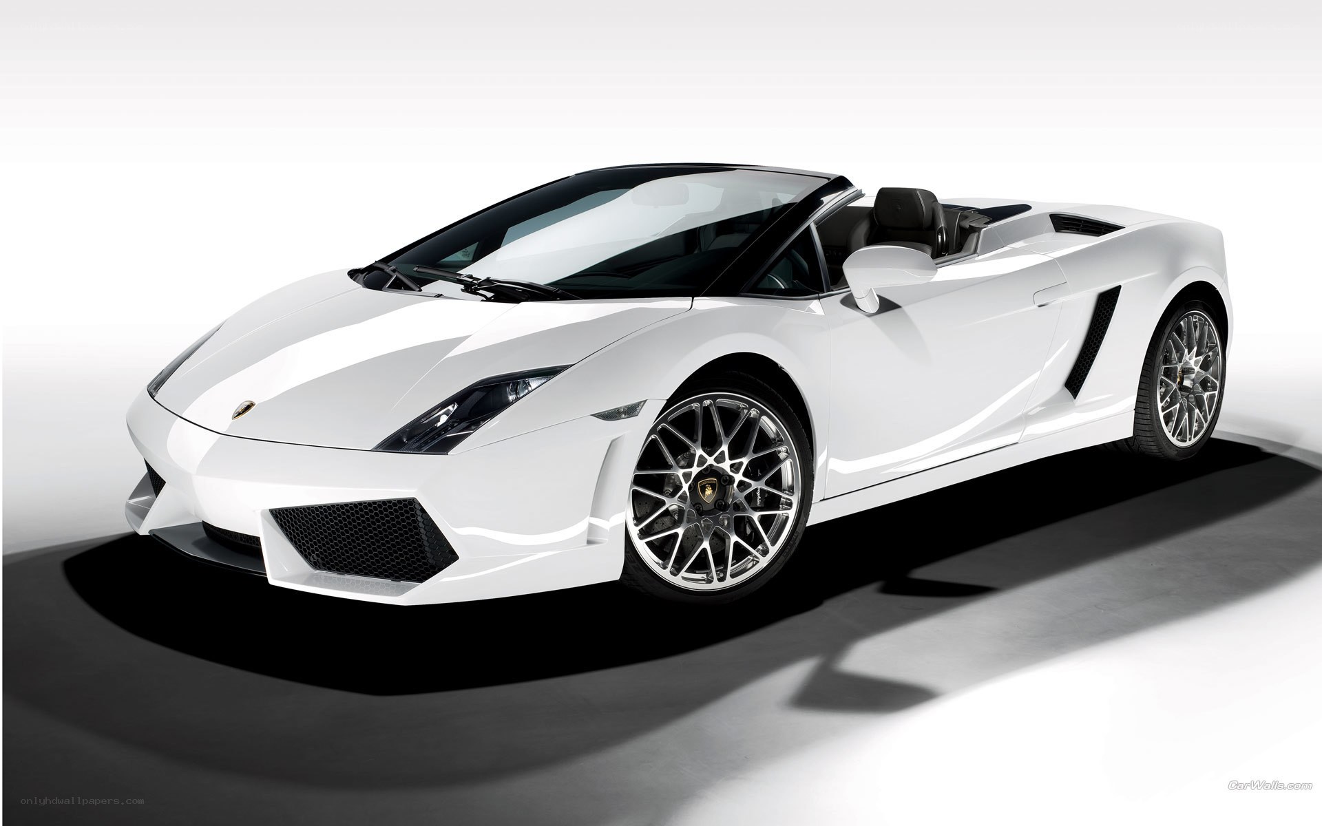 White Lamborghini Gallardo Spyder