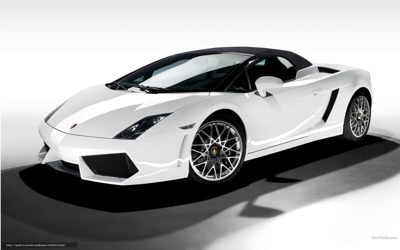 White Lamborghini Gallardo Spyder