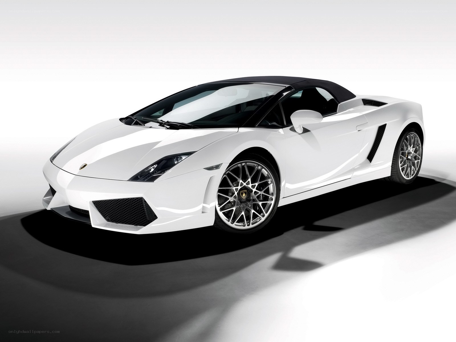 White Lamborghini Gallardo Spyder