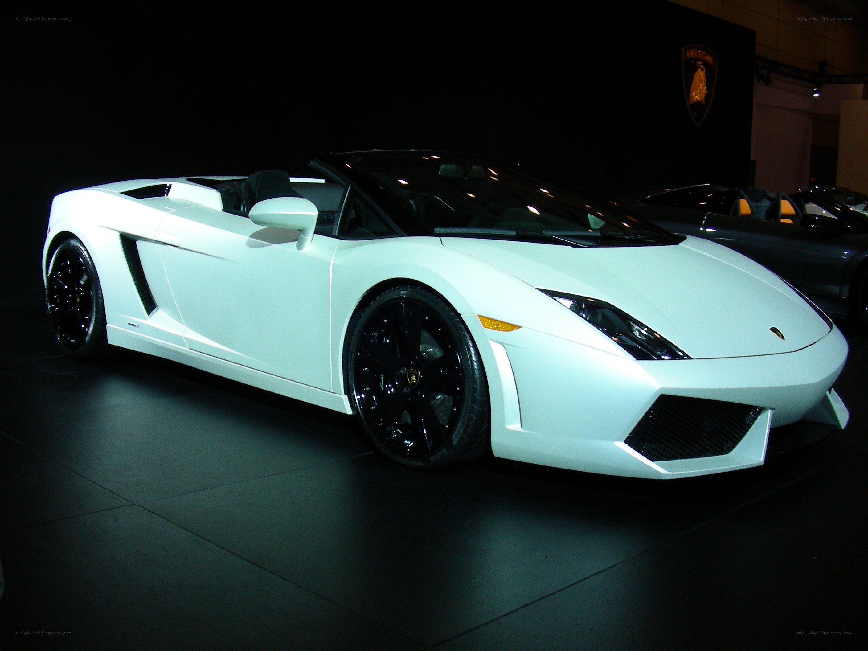 White Lamborghini Gallardo Spyder