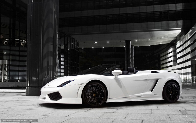 White Lamborghini Gallardo