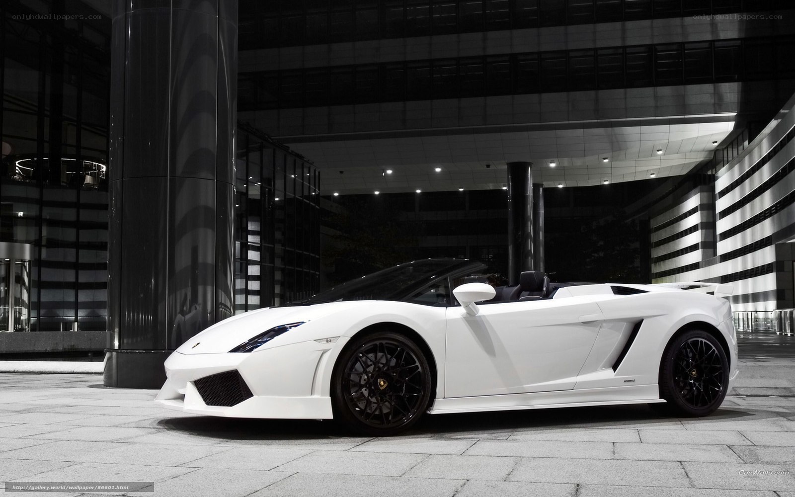 White Lamborghini Gallardo