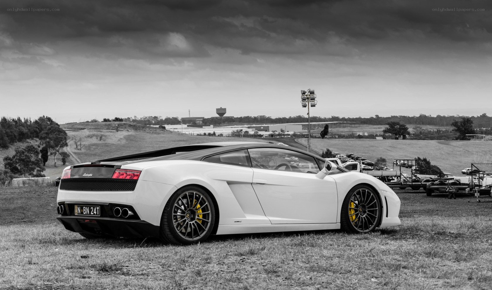 White Lamborghini in a field