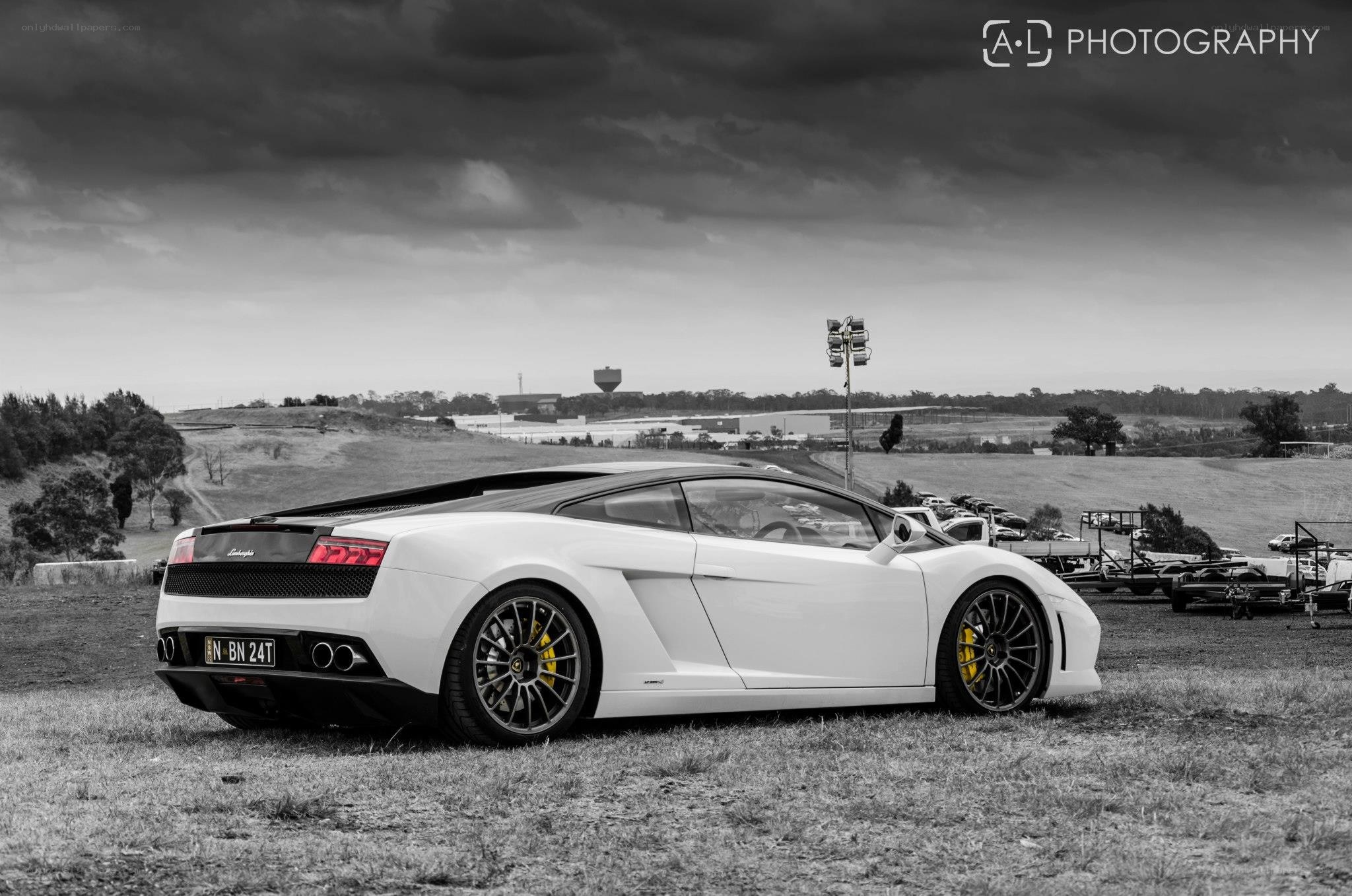 White Lamborghini in a field