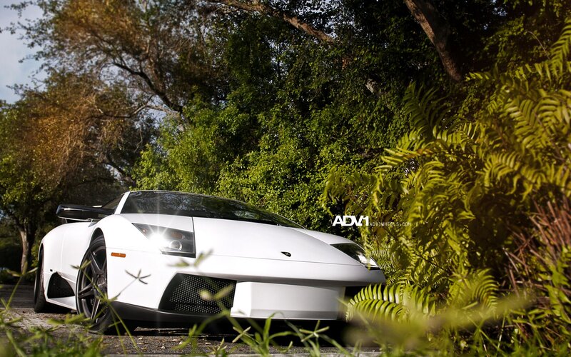 White Lamborghini in a forest
