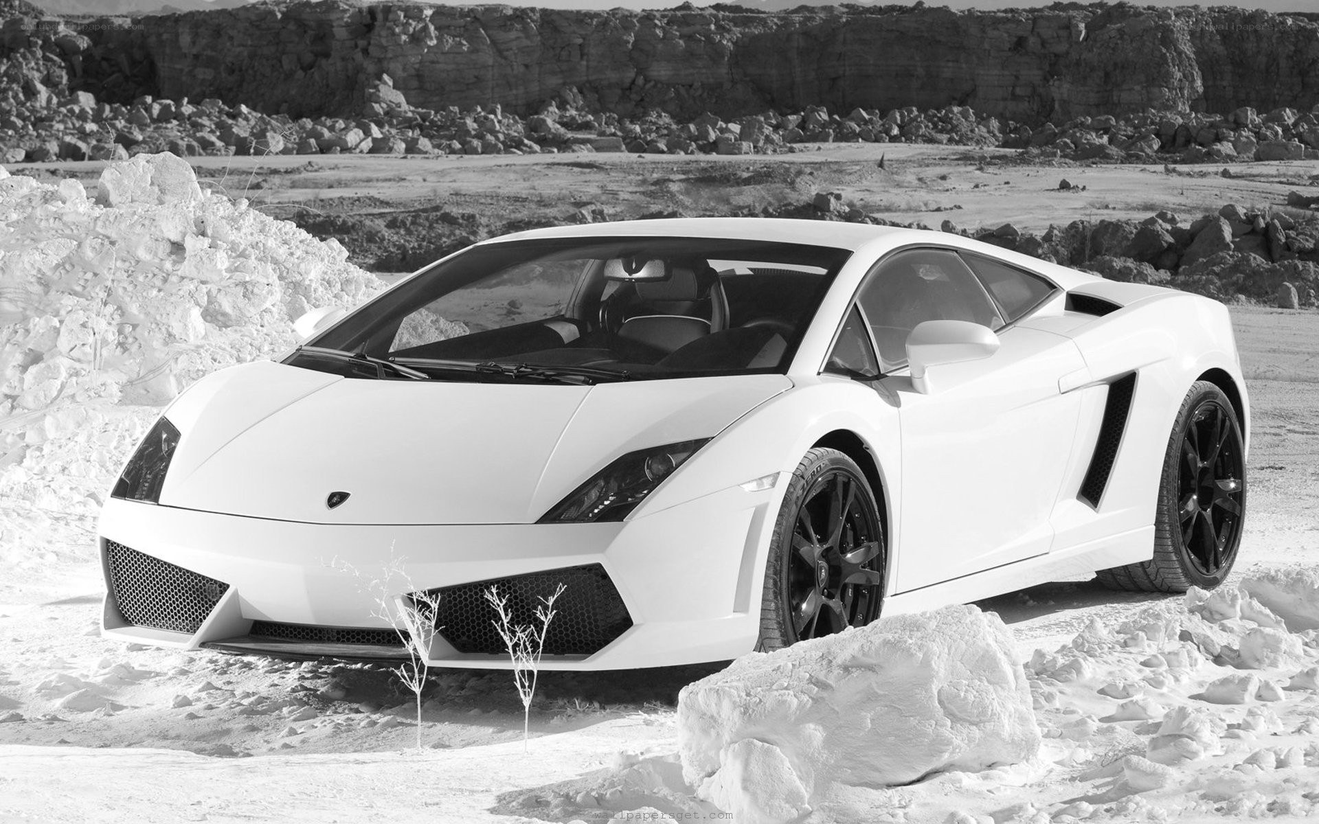 White Lamborghini in a quarry