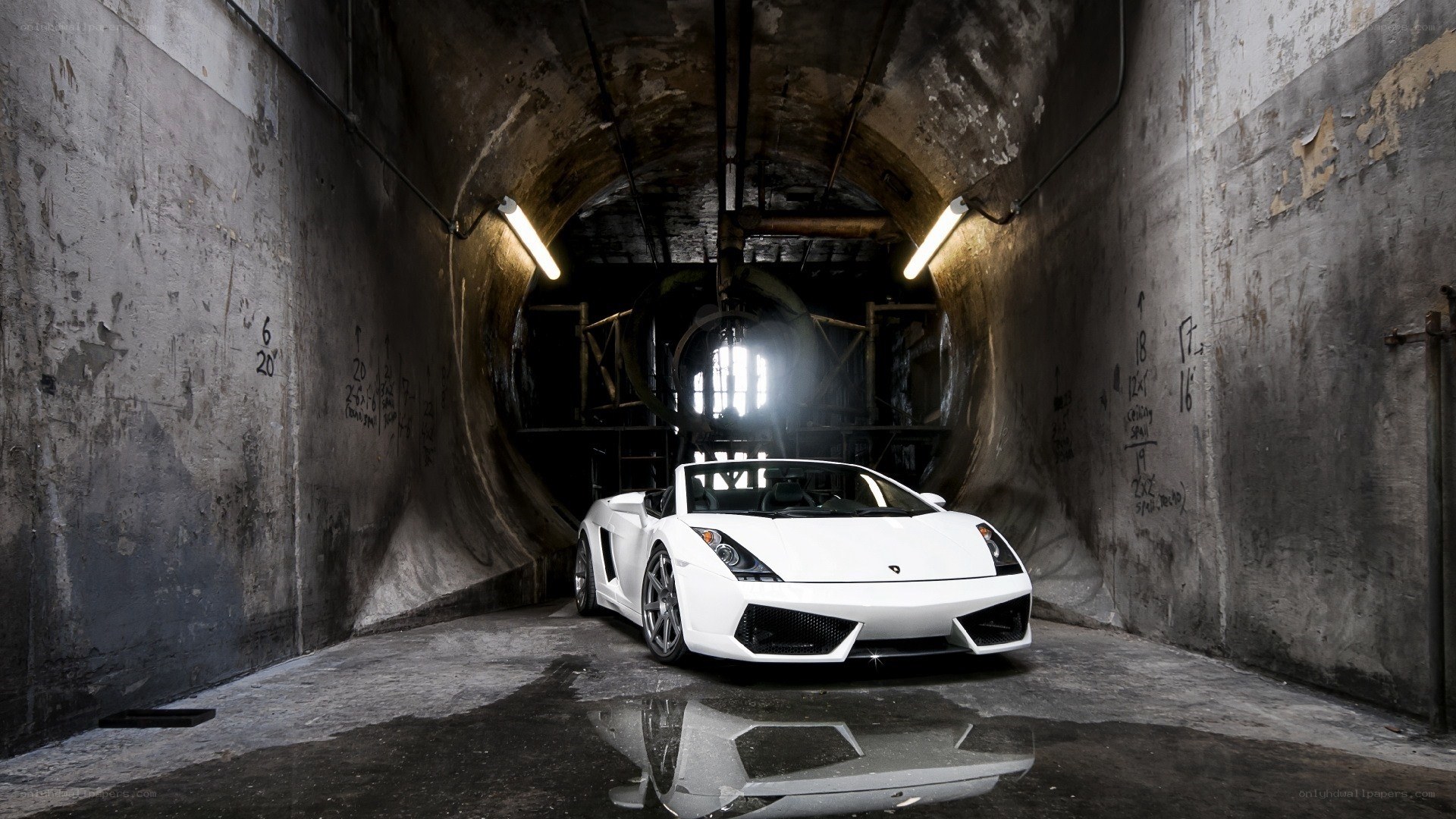 White Lamborghini in a tunnel