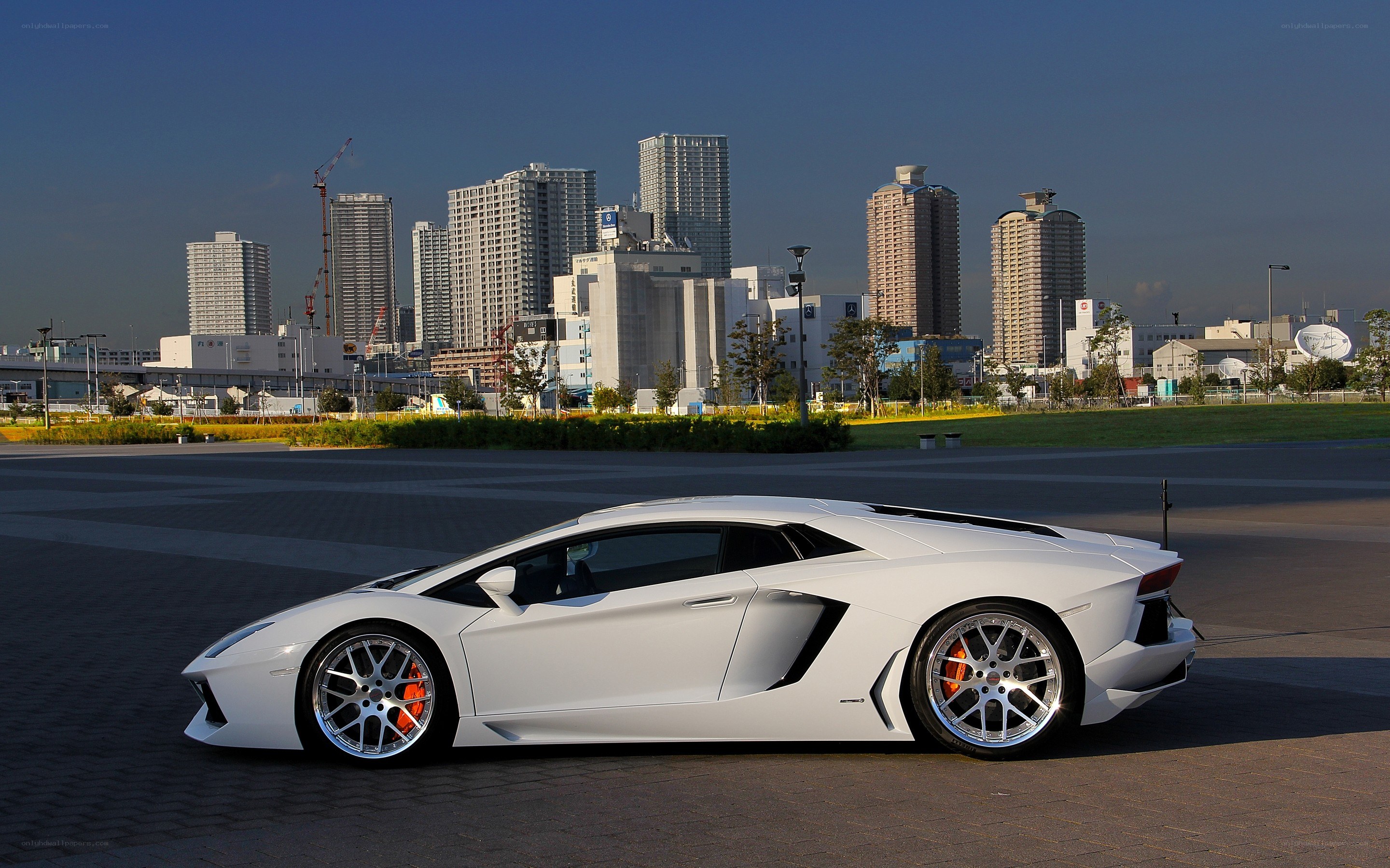 White Lamborghini in city