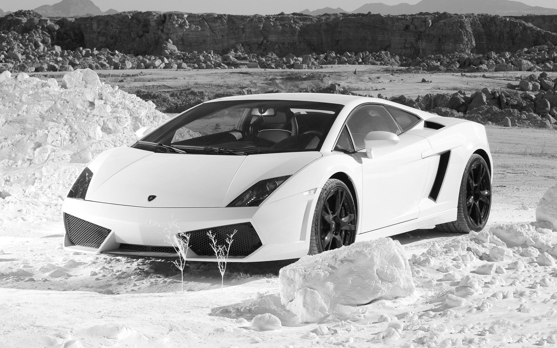 White Lamborghini in desert