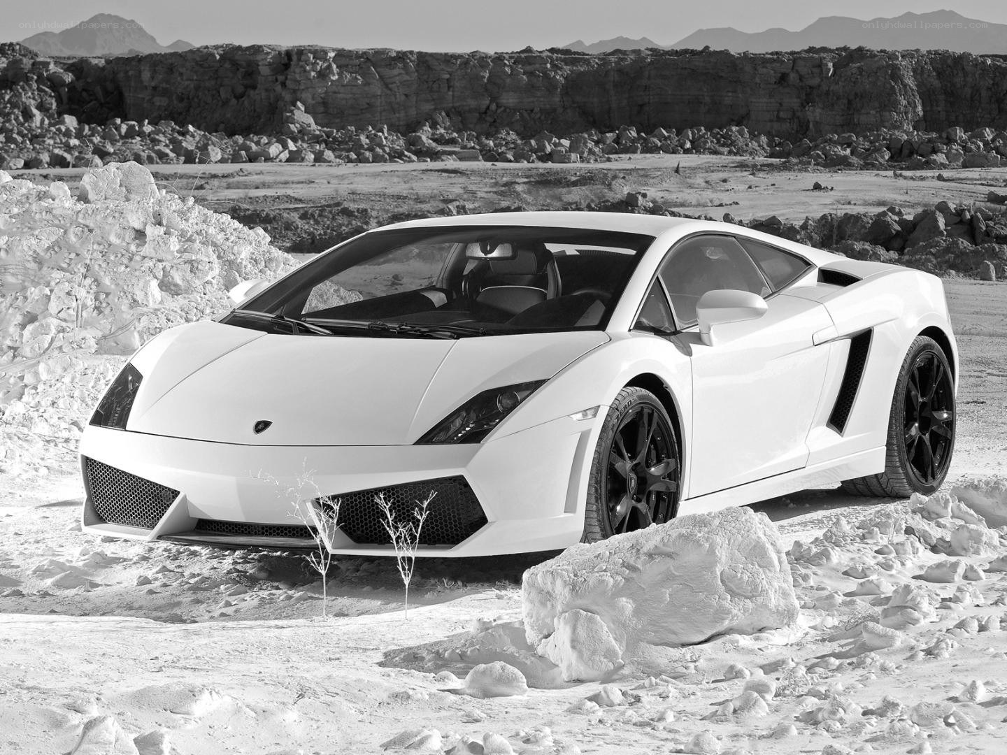 White Lamborghini in desert