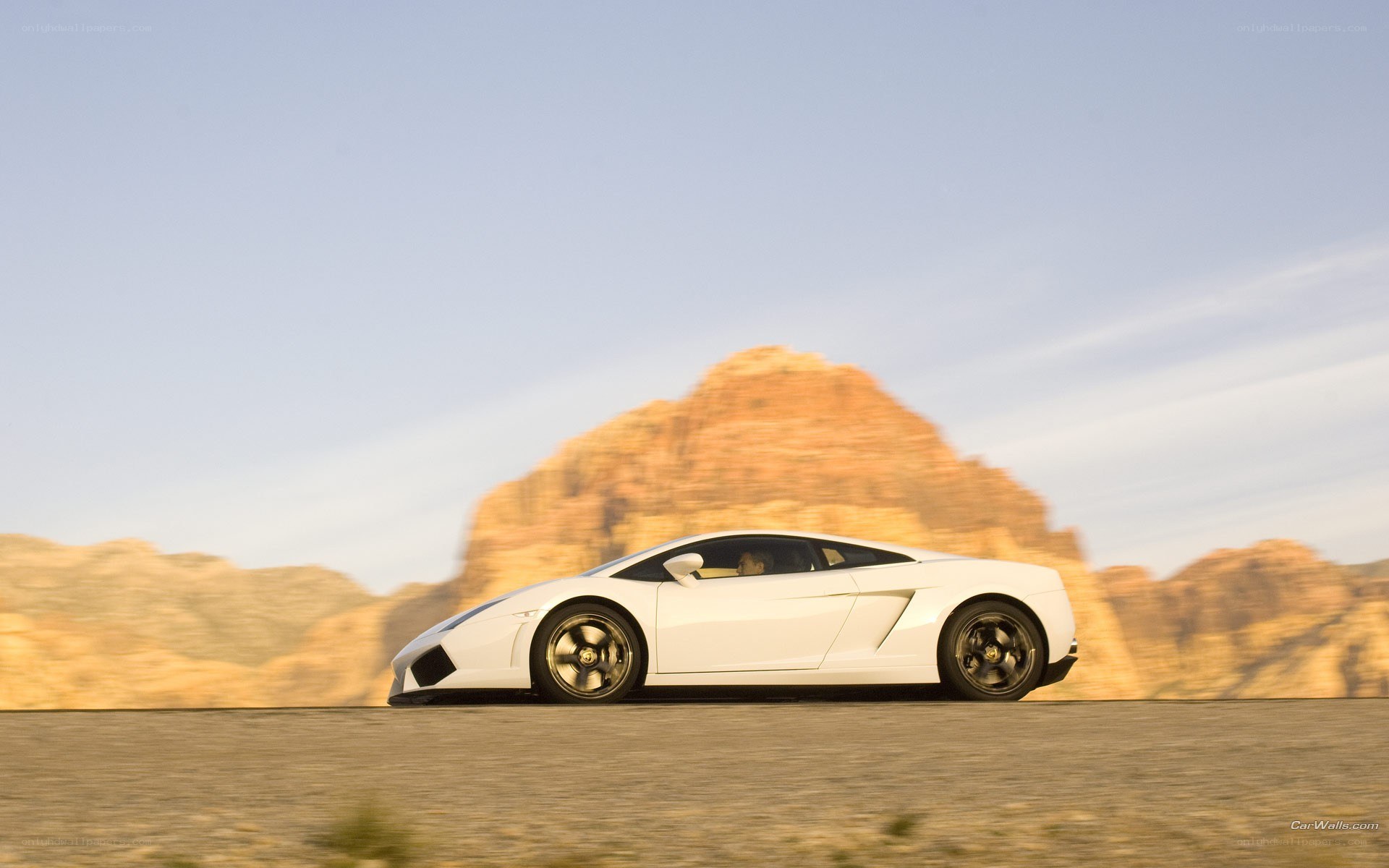 White Lamborghini in desert