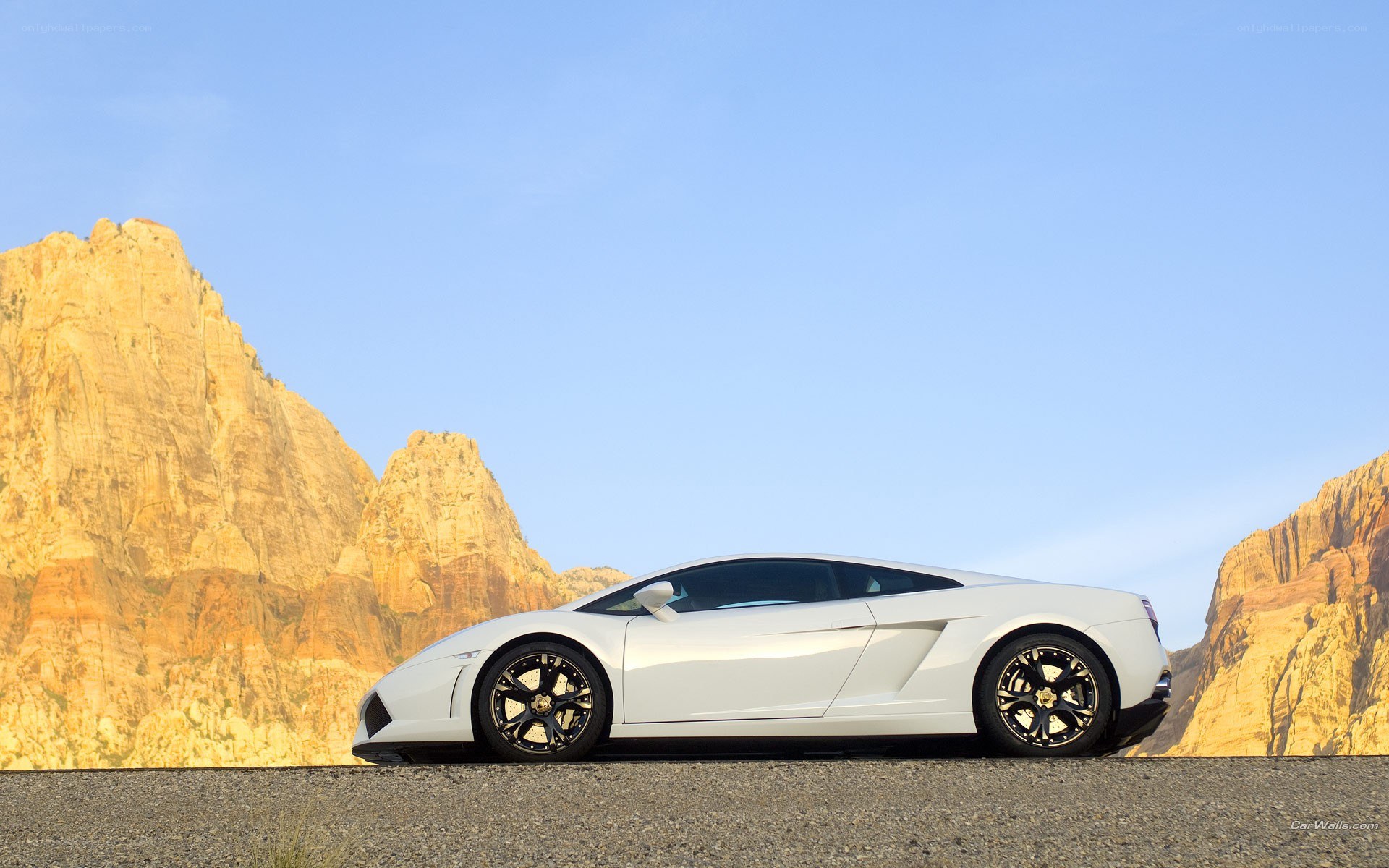 White Lamborghini in desert