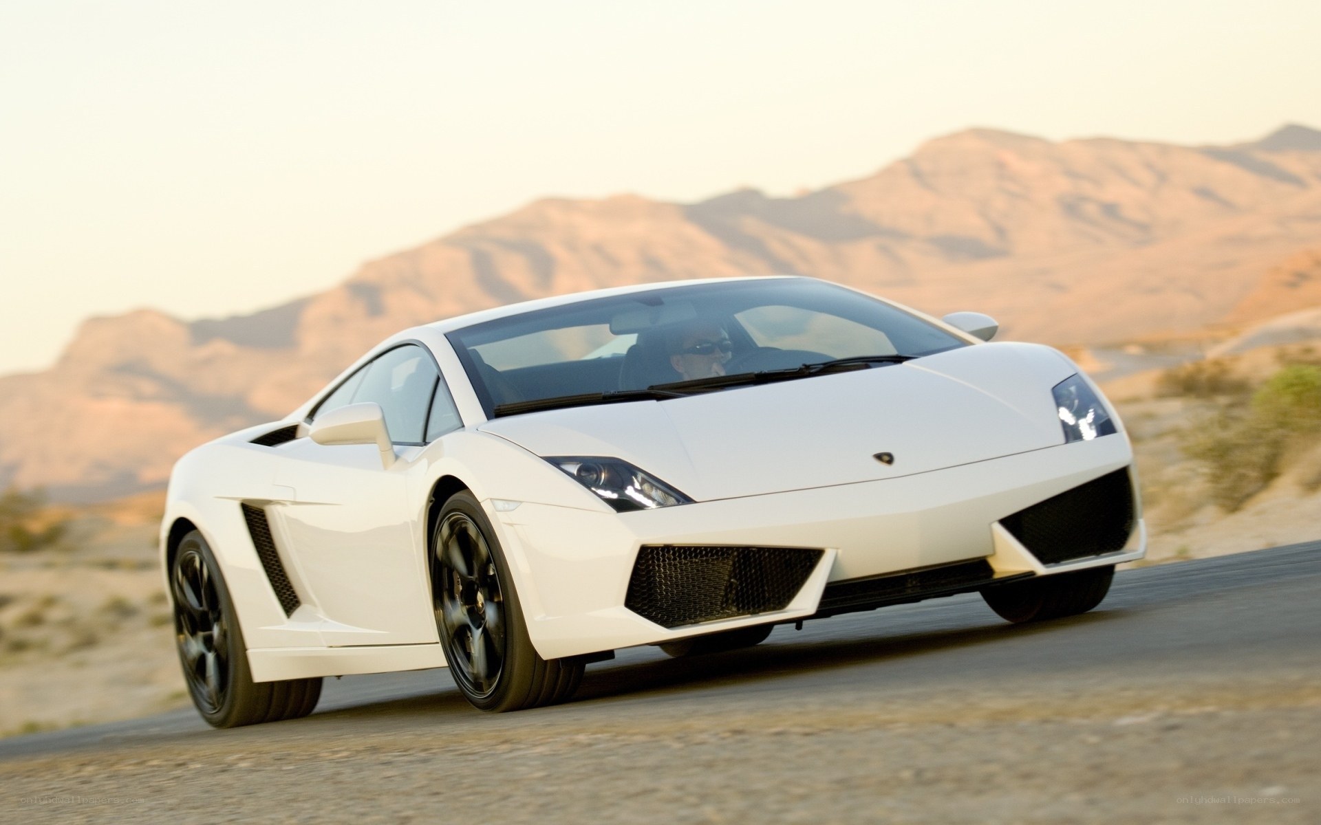 White Lamborghini in desert