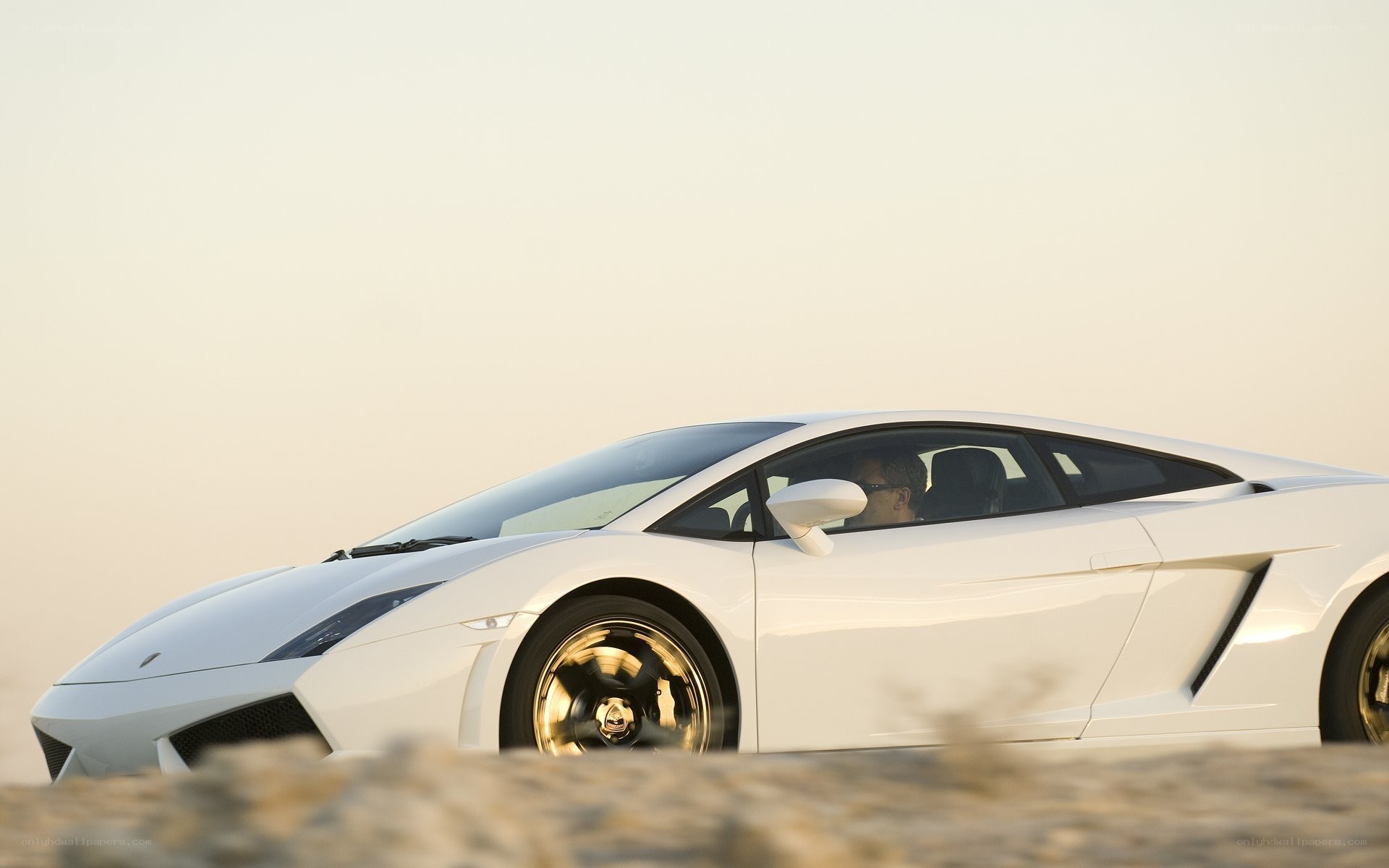 White Lamborghini in desert