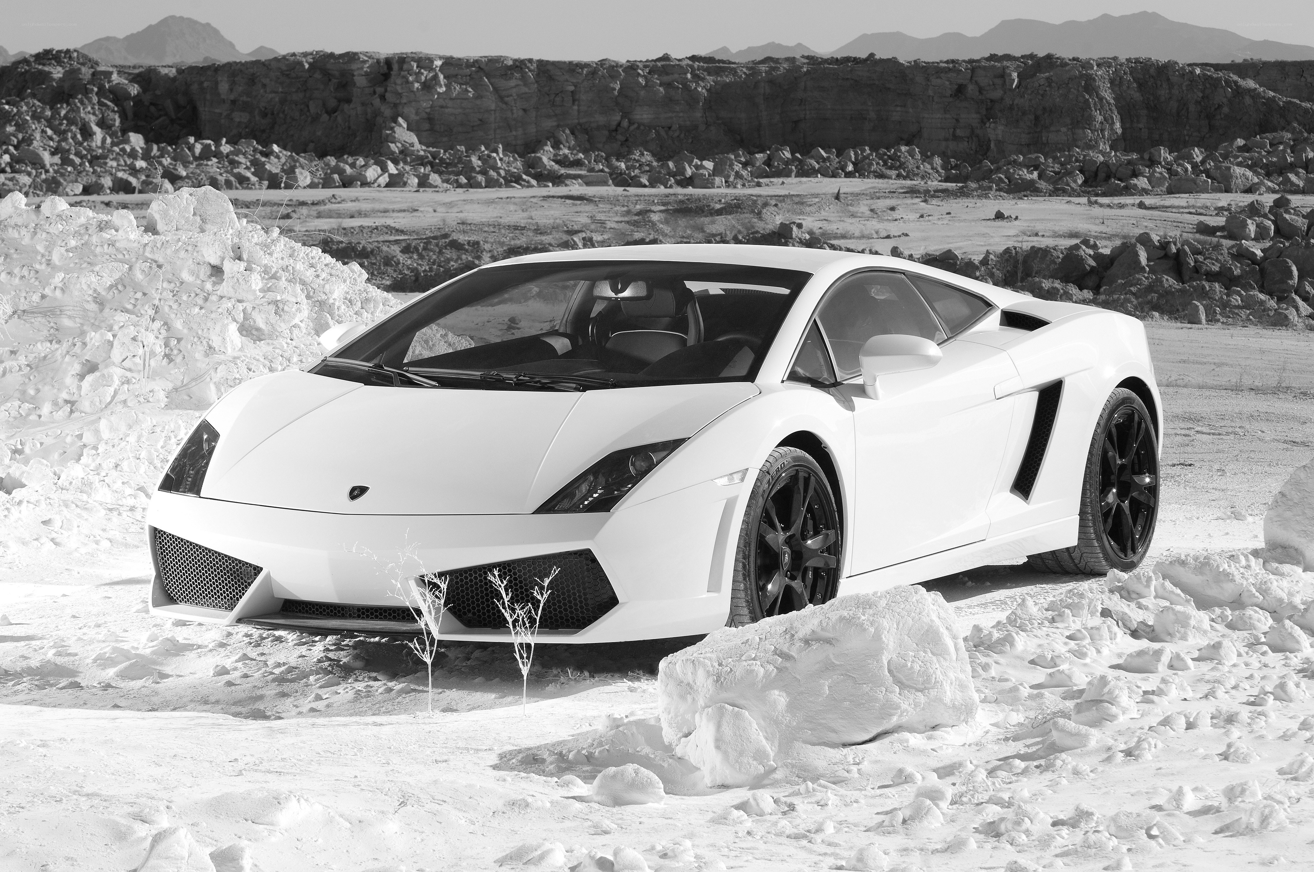 White Lamborghini in desert