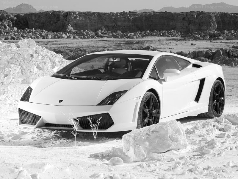White Lamborghini in desert