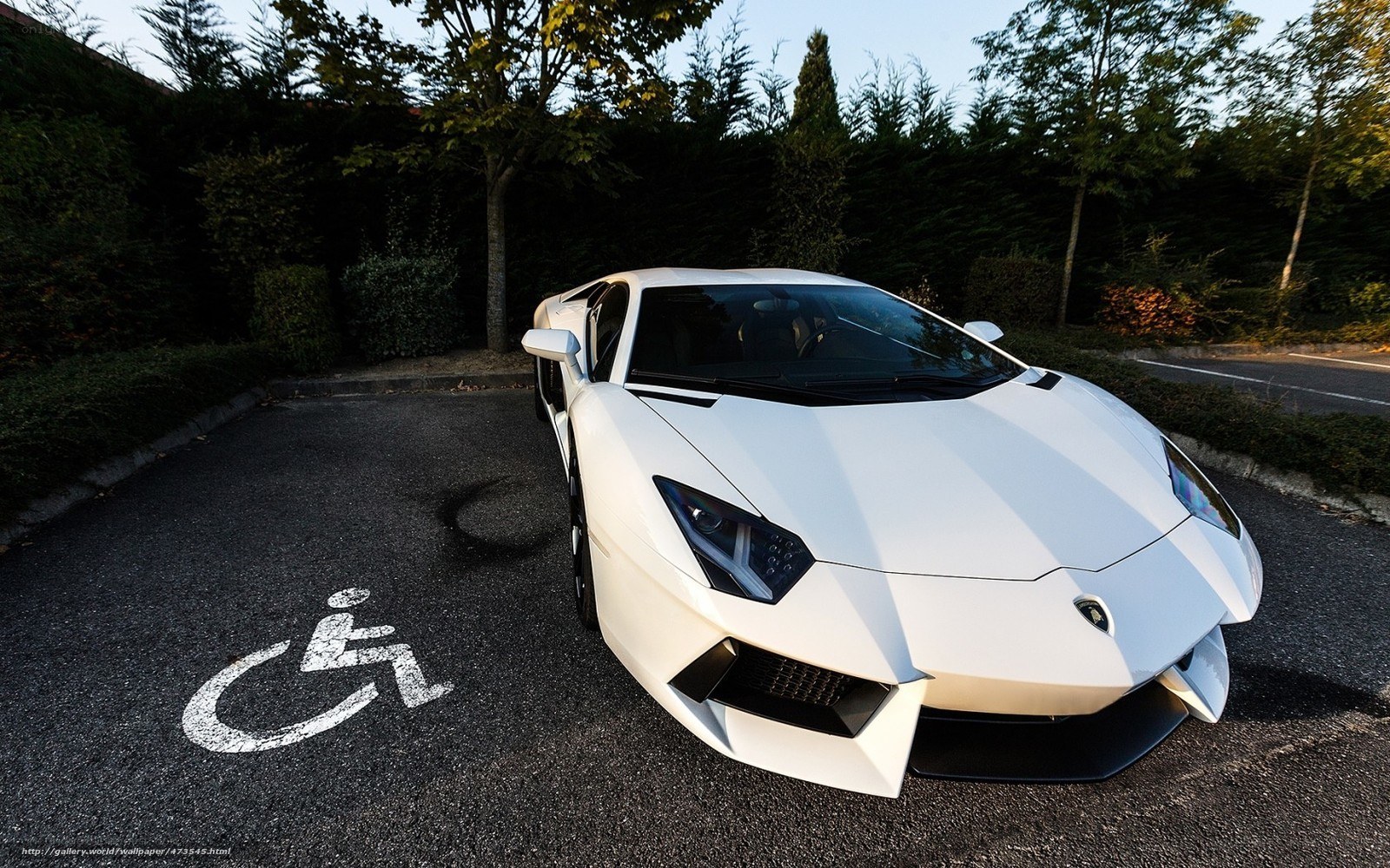 White Lamborghini in disabled spot