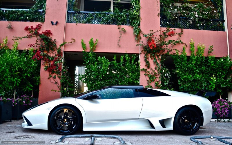 White Lamborghini in front of building