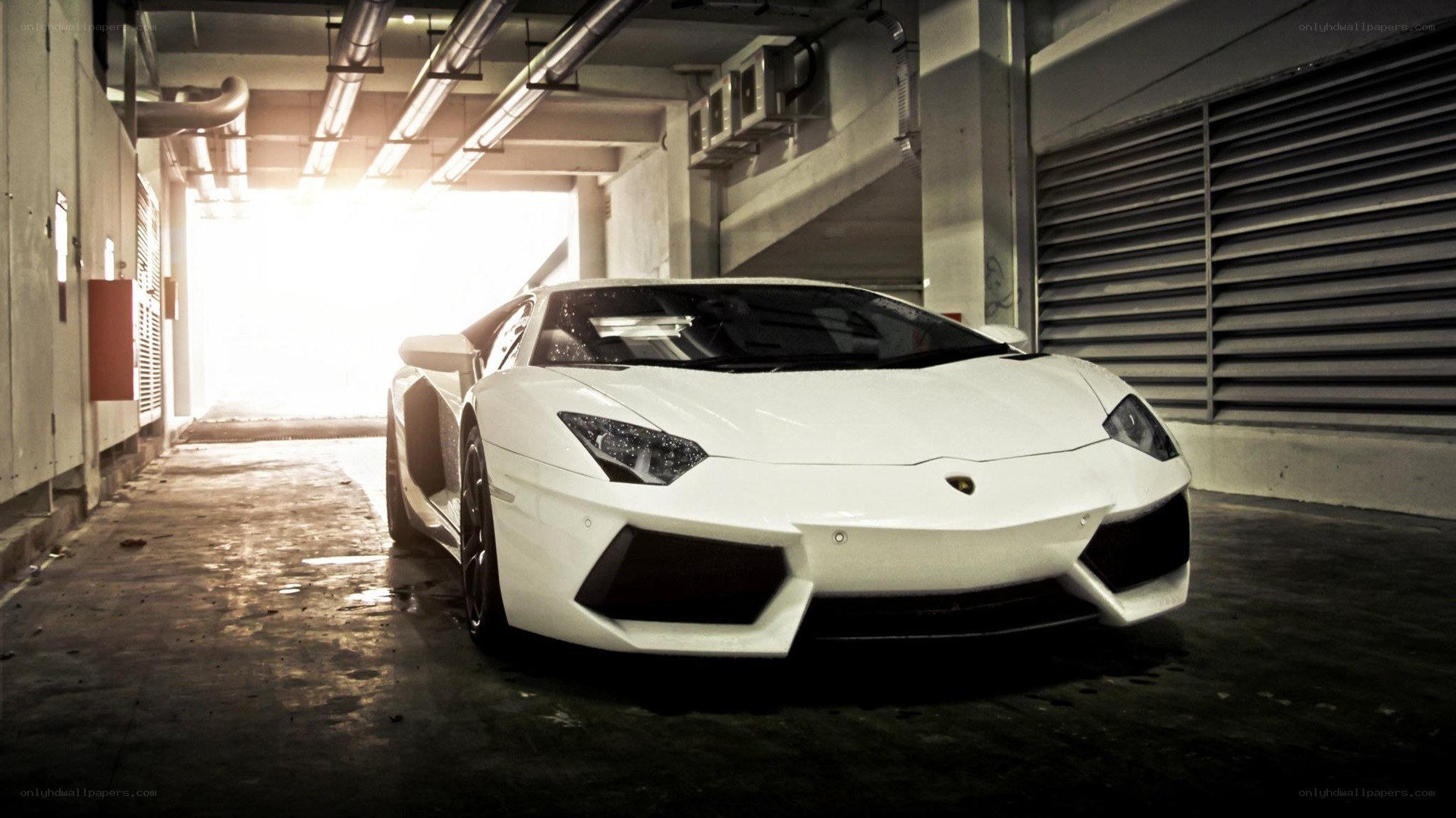 white lamborghini in garage