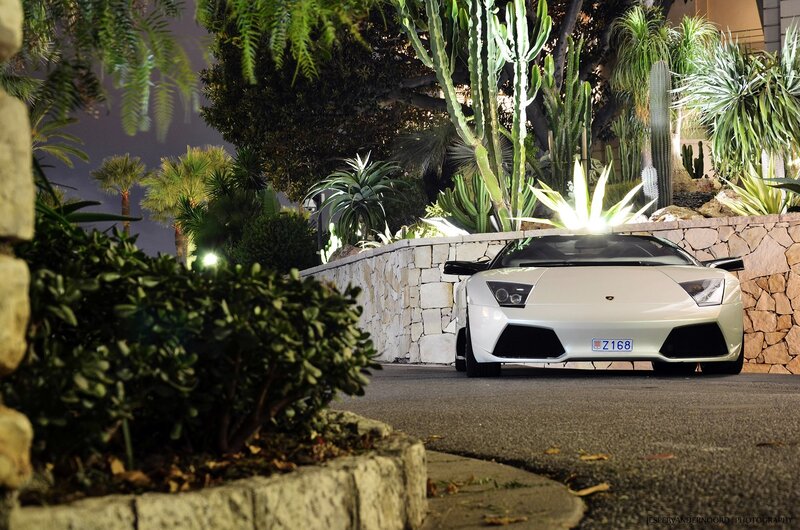 White Lamborghini in garden at night