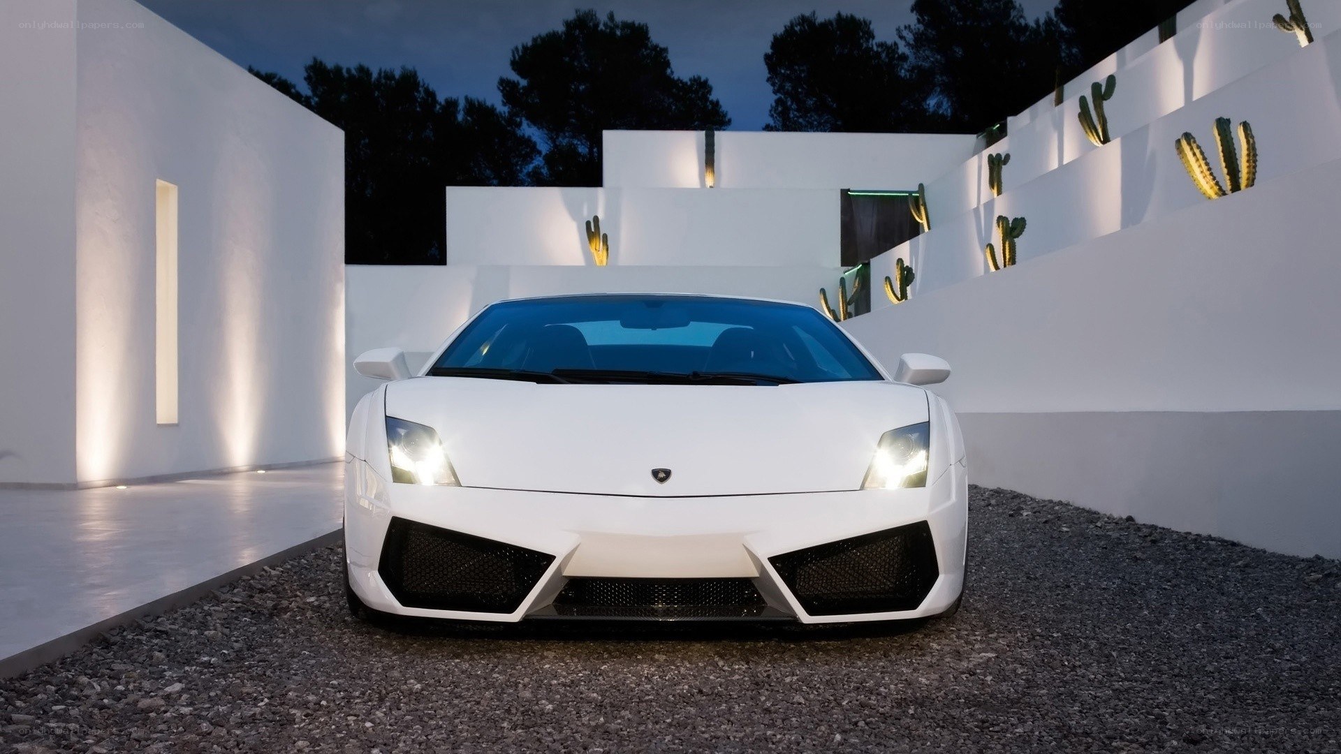 White Lamborghini in modern courtyard