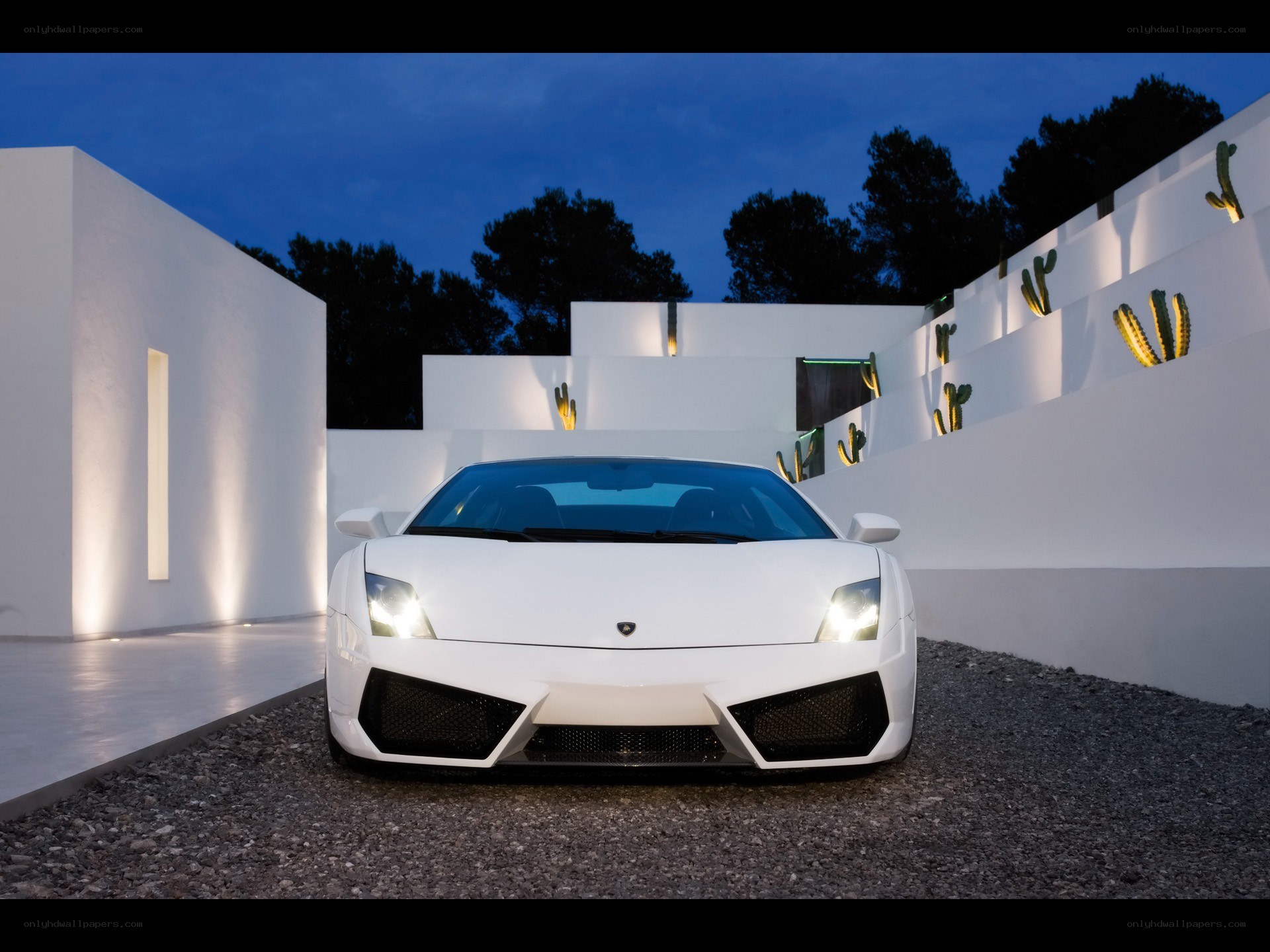 White Lamborghini in modern courtyard