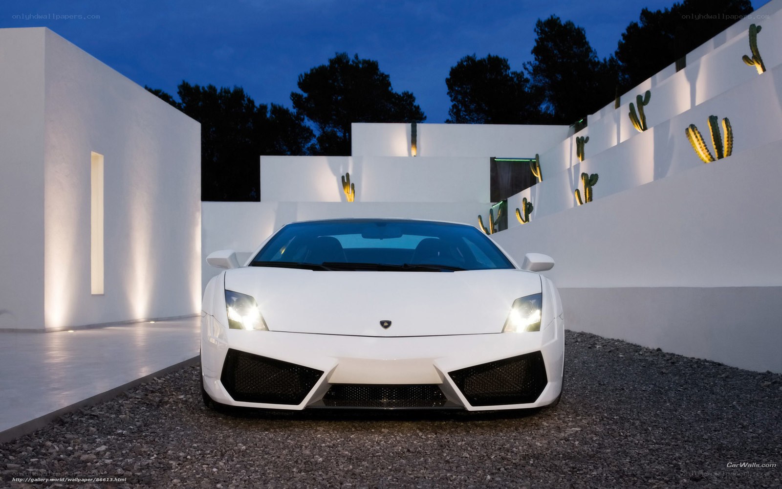 White Lamborghini in modern driveway