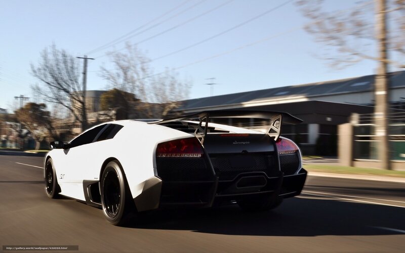 White Lamborghini in Motion — Dynamic, Afternoon