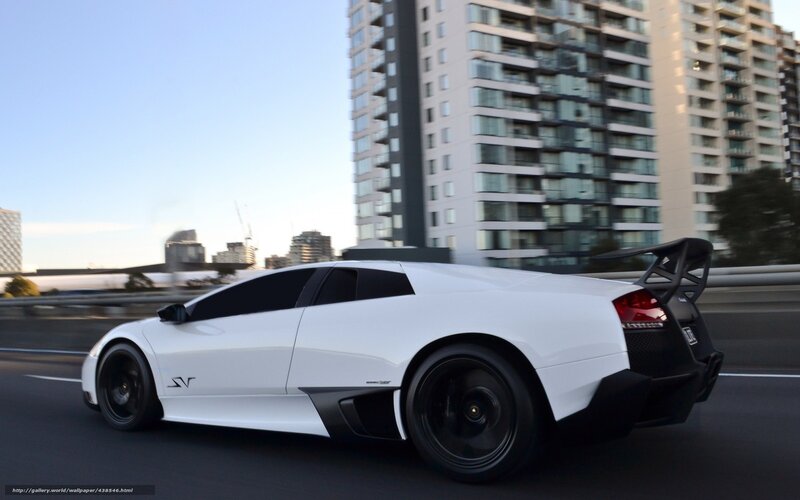 White Lamborghini in Motion — Dynamic