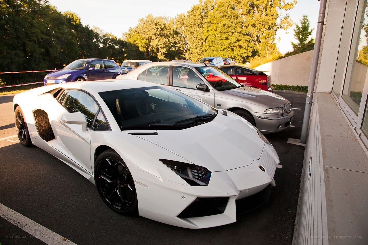 White Lamborghini in parking lot