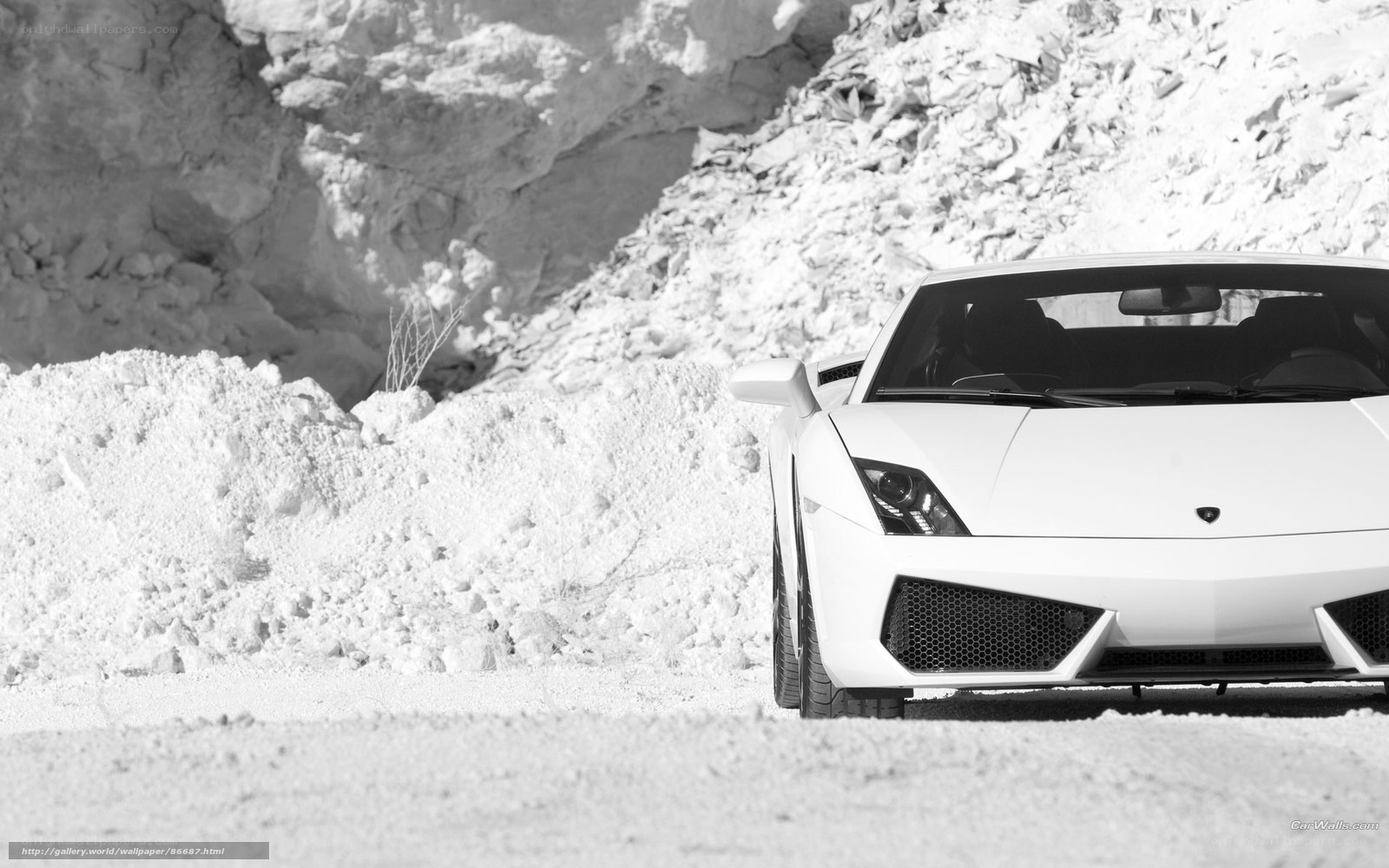 White Lamborghini in snowy landscape