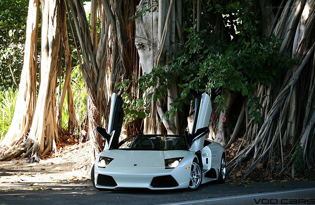 White Lamborghini in tropical setting