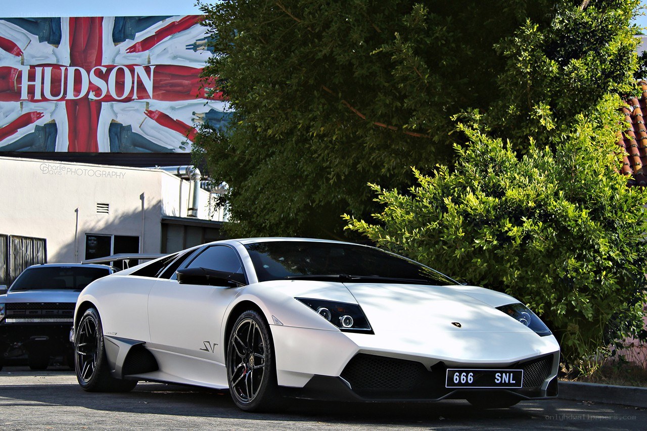 White Lamborghini Murcielago