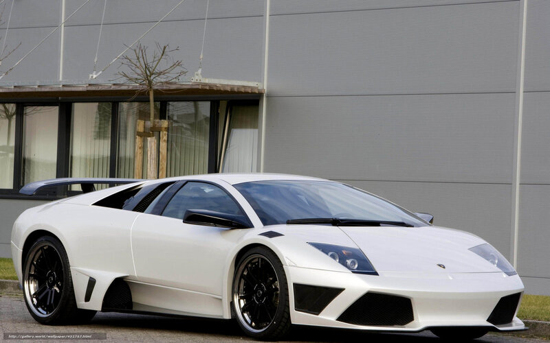 White Lamborghini Murcielago — Calm, Photograph, Building
