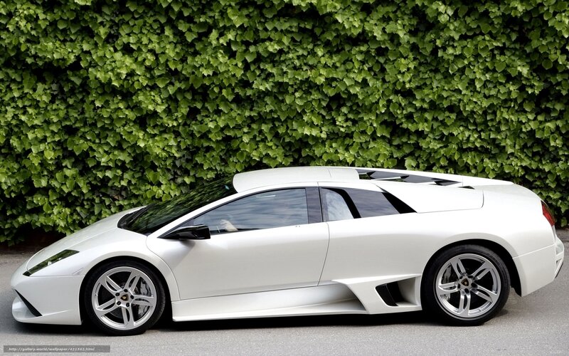 White Lamborghini Murcielago — Calm, Photograph