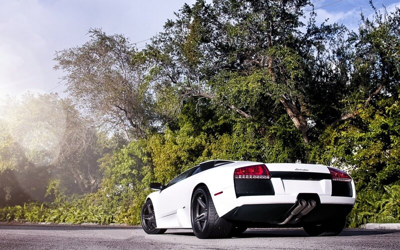 White Lamborghini Murcielago — Dramatic, Afternoon, Photograph, Trees