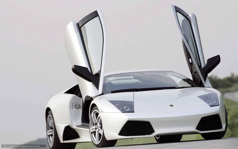 White Lamborghini Murcielago — Dramatic, Photograph, Car, Doors, Road