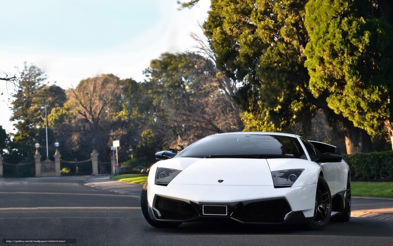 White Lamborghini Murcielago — Serene, Afternoon