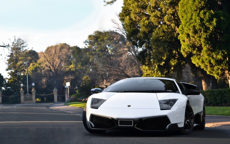 White Lamborghini Murcielago — Serene