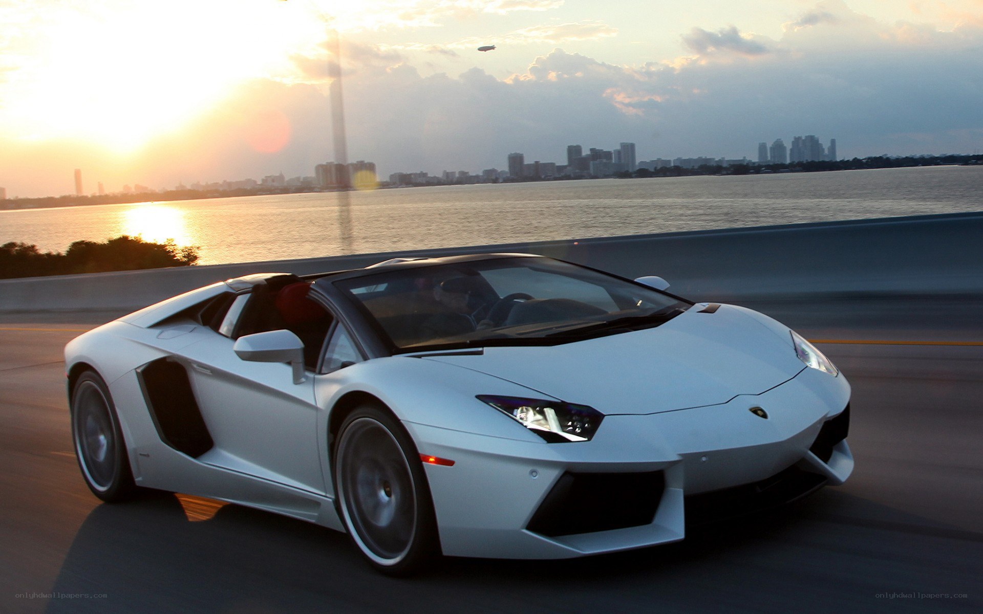 White Lamborghini on a bridge