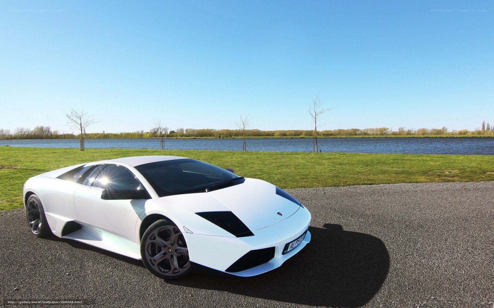 White Lamborghini on a lakeside