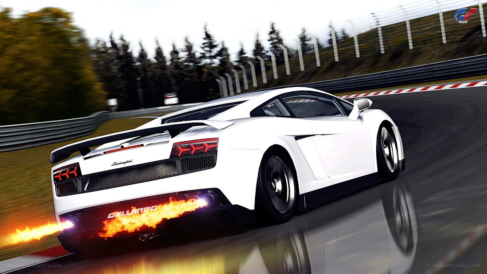 White Lamborghini on a racetrack