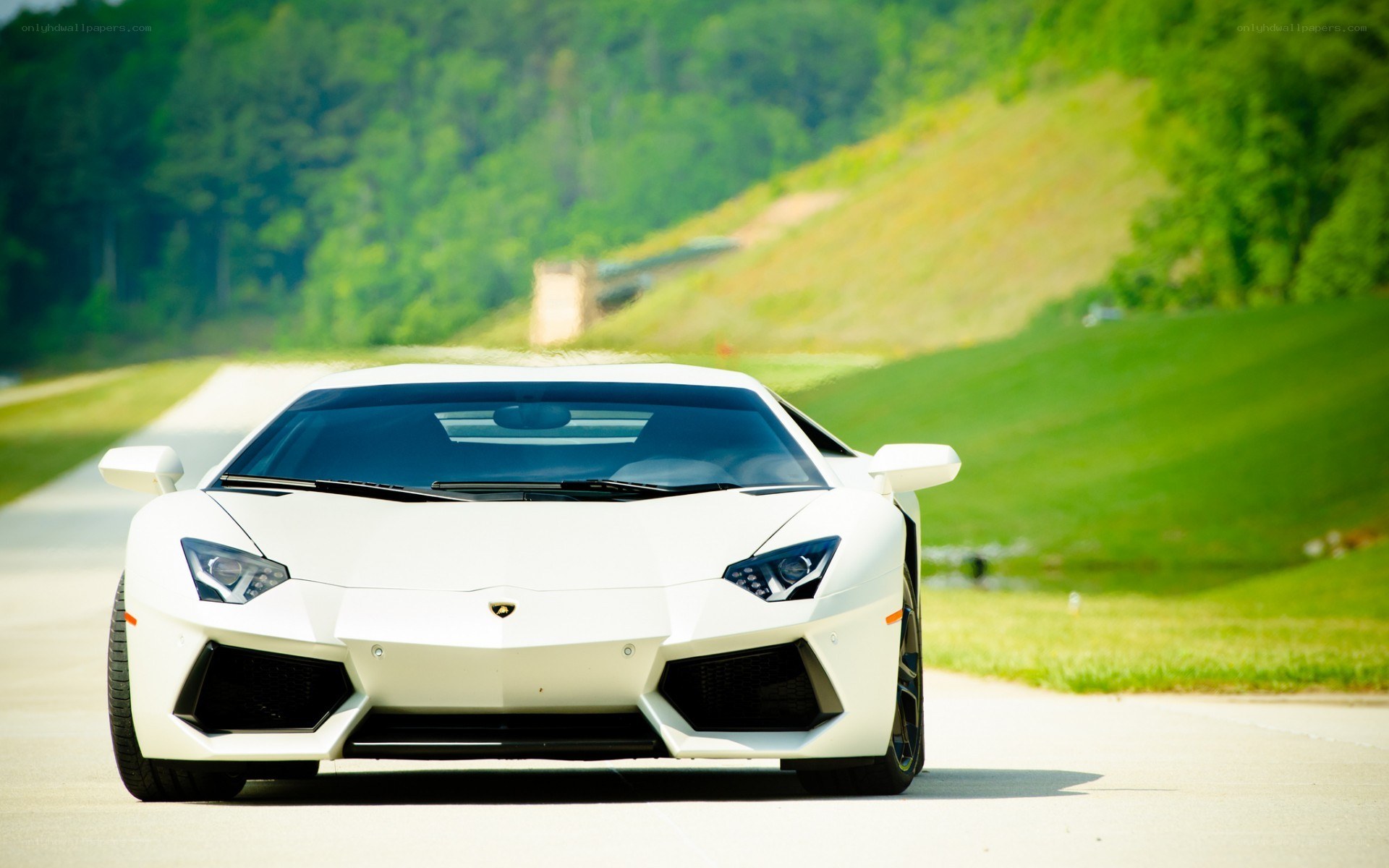 White Lamborghini on a road